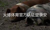 火博体育官方认证登录安全稳定可靠
