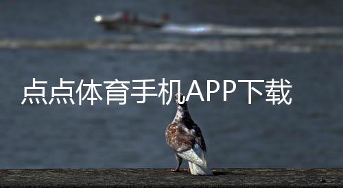 点点体育手机APP下载教程:安卓版与iOS最新版安装、注册与使用指南