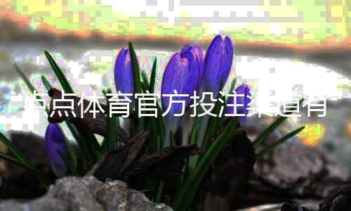 点点体育官方投注渠道有哪些？官方入口识别、注册充值与安全使用全攻略