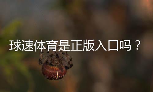 球速体育是正版入口吗?权威验证与安全下载指南
