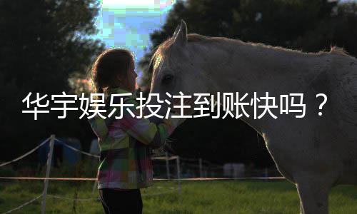 华宇娱乐投注到账快吗？实测到账速度与提款技巧分享