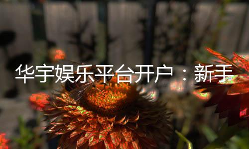 华宇娱乐平台开户:新手注册指南与首存优惠详解