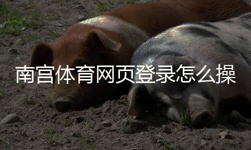 南宫体育网页登录怎么操作?新手注册登录步骤与常见问题解答