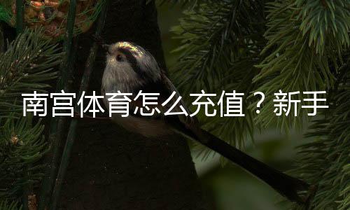 南宫体育怎么充值？新手充值流程、支付方式与安全注意事项详解