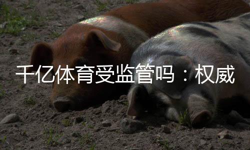 千亿体育受监管吗：权威解读