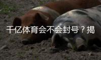 千亿体育会不会封号？揭秘真相