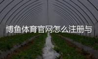 博鱼体育官网怎么注册与登录？官网入口、充值提现与优惠活动完整指南
