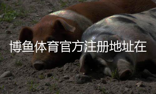 博鱼体育官方注册地址在哪?最新官网入口与快速注册教程
