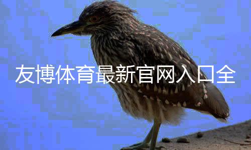 友博体育最新官网入口全解析：官方访问、注册登录与安全充值指南
