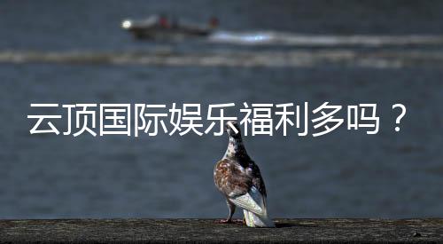 云顶国际娱乐福利多吗？揭秘高额彩金与独家优惠活动