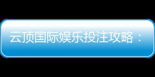 云顶国际娱乐投注攻略:资深玩家教你稳赢技巧与实战心得