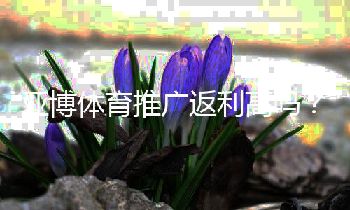 亚博体育推广返利高吗?真实返利比例、佣金计算与提升技巧解析