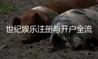 世纪娱乐注册与开户全流程：新手必看的详细图文指南