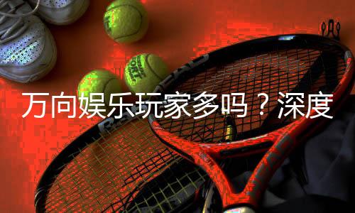 万向娱乐玩家多吗?深度解析平台人气与玩家活跃度