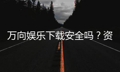 万向娱乐下载安全吗？资深玩家揭秘平台安全性与下载攻略