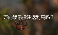 万向娱乐投注返利高吗？揭秘高返利平台的真实玩法与技巧