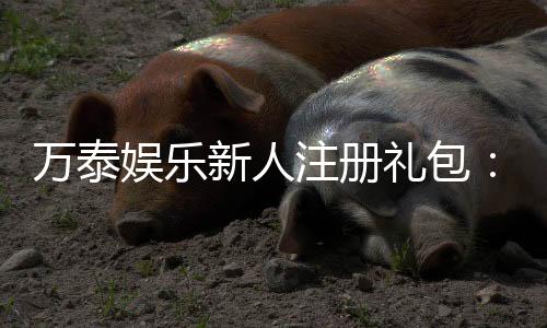 万泰娱乐新人注册礼包:首存豪礼加码新手专享福利大放送