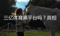 三亿体育黑平台吗？真相揭秘与用户评价、风险辨别全攻略