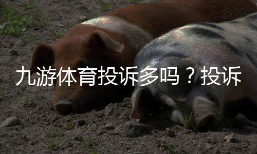 九游体育投诉多吗?投诉原因、处理流程与用户维权攻略