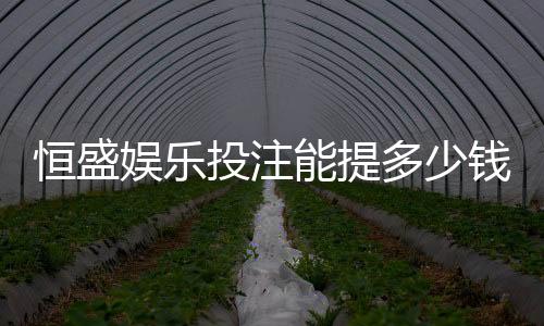 恒盛娱乐投注能提多少钱?揭秘提款额度与到账规则
