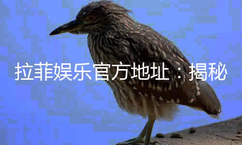 拉菲娱乐官方地址:揭秘官网入口与安全投注指南