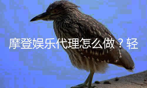 摩登娱乐代理怎么做？轻松入门指南与实战经验分享