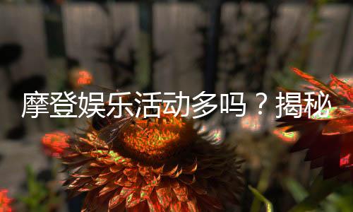 摩登娱乐活动多吗?揭秘平台特色玩法与福利活动
