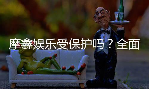 摩鑫娱乐受保护吗?全面解析其安全性与保障措施