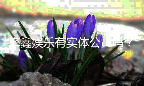 摩鑫娱乐有实体公司吗？深度解析其线下实体背景与实力
