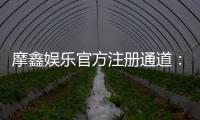 摩鑫娱乐官方注册通道：轻松开启您的豪华游戏之旅