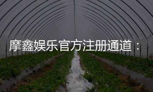 摩鑫娱乐官方注册通道:轻松开启您的豪华游戏之旅
