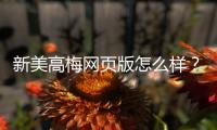 新美高梅网页版怎么样？资深玩家带你揭秘真实体验