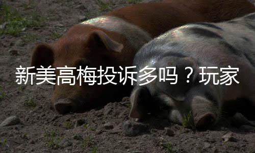 新美高梅投诉多吗？玩家真实反馈与平台解析