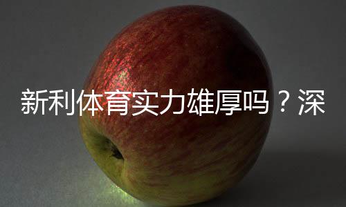 新利体育实力雄厚吗?深度评测:牌照、资金实力与用户口碑全面解析