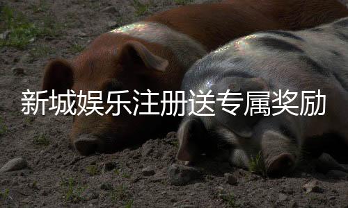 新城娱乐注册送专属奖励:新会员首存即享豪华礼包与高额返利