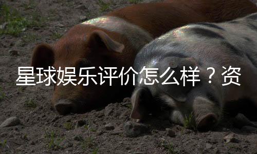 星球娱乐评价怎么样?资深玩家真实体验分享