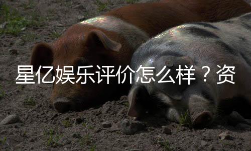 星亿娱乐评价怎么样？资深玩家真实体验分享