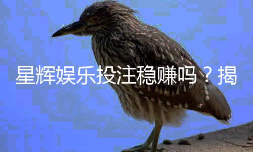星辉娱乐投注稳赚吗？揭秘稳赚技巧与风险规避策略
