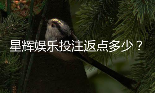 星辉娱乐投注返点多少？揭秘高返水平台独家福利