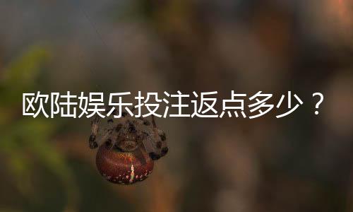 欧陆娱乐投注返点多少？揭秘高返点活动与实战技巧