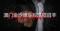 澳门金沙娱乐投注项目丰富吗？揭秘其多元游戏与特色玩法