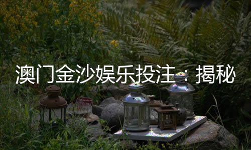 澳门金沙娱乐投注:揭秘高胜率玩家的独家投注技巧
