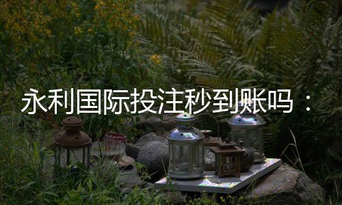 永利国际投注秒到账吗：极速存取款体验分享