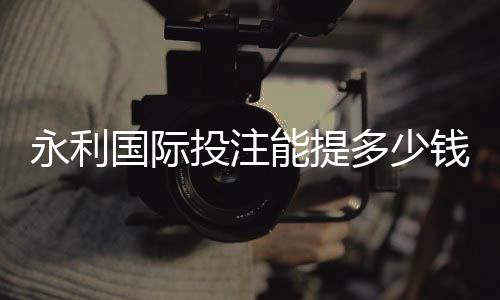 永利国际投注能提多少钱?:全方位了解投注金额范围
