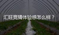 汇旺竞猜体验感怎么样？资深玩家分享真实测评与心得