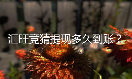 汇旺竞猜提现多久到账？到账时间及流程详解