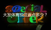 大发体育投注返点多少？最新返点比例、计算方式与领取攻略