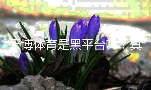天博体育是黑平台吗？真实评价、投诉案例与安全性全面评测