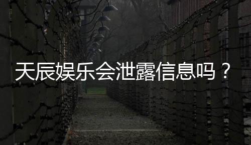 天辰娱乐会泄露信息吗？深度解析平台安全性与隐私保护措施