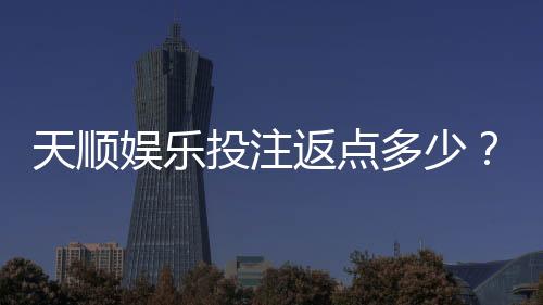 天顺娱乐投注返点多少？揭秘高返水福利与实战技巧